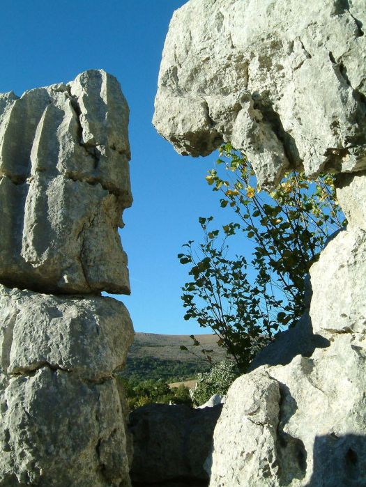 CDV entre ciel et pierres CDV entre ciel et pierres