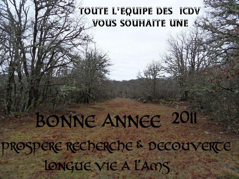 voeux_2011.jpg voeux_2011.jpg