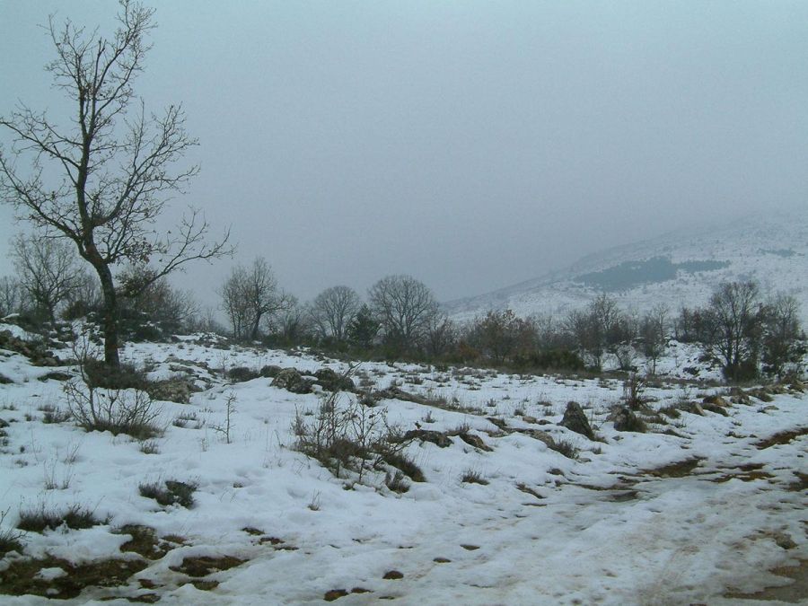 Le plateau de la Lune Le plateau de la Lune